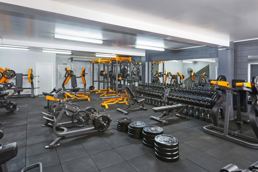 24 Hour Gym Manukau